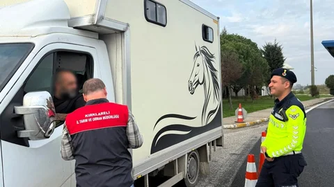 Kırklareli'nde Hayvan Nakli Denetimi