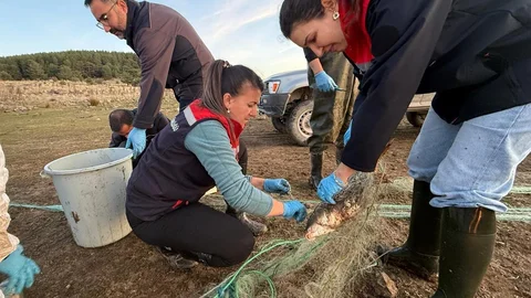 Bolu'da Hayalet Ağ Temizliği Yapıldı