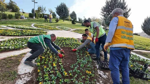 Şanlıurfa'da 400 Bin Çiçek Üretimi