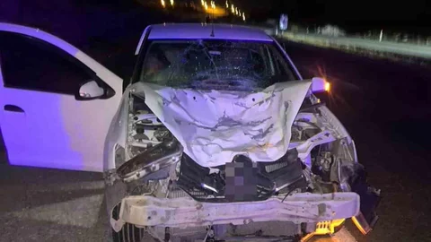 Siirt'te At Kazada Telef Oldu