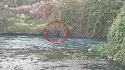 Antalya'da Düden Çayı'na Düşen Vatandaş Kurtarıldı