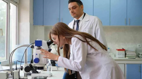 Gaziantep'te Sinek İstilasının Etkileri Artıyor