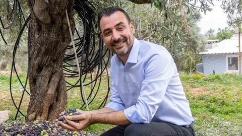 Manavgat'ta Zeytin Festivali Başlıyor