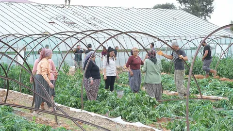 Mersin'de Fırtına ve Hortum Zarar Verdi