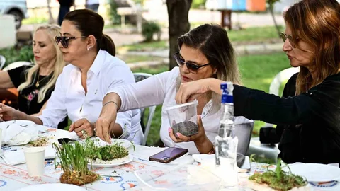 Mikro Yeşilliklerle Minyatür Bahçeler Oluşturuldu
