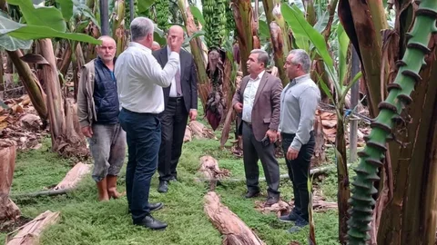 Başkan Çetinkaya, Hortum ve Fırtınadan Zarar Gören Sera ve Tarrım Alanlarında İncelemelerde Bulundu