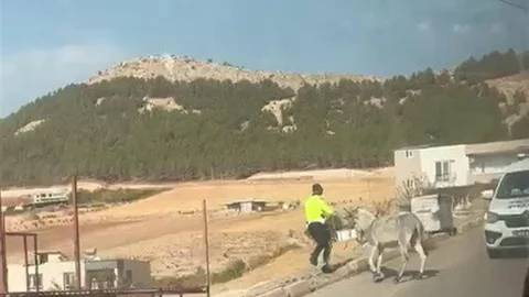 Adıyaman'da Eşeğe Polis Müdahalesi