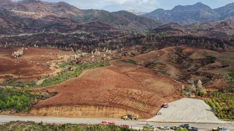 Aydın'da Fidan Dikim Etkinliği