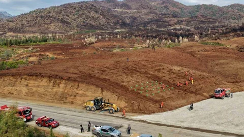 Muğla'da Fidan Dikim Etkinliği