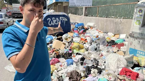 İzmir'de Sinek İstilasına Müdahale Başladı