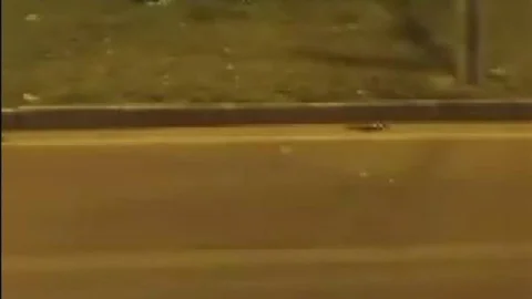 Diyarbakır'da Refüje Uçan Araç