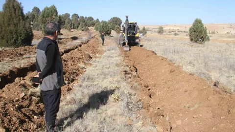 Beyşehir'de 11 Bin Fidan Dikilecek