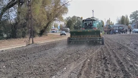 Arpalı'da Suni Mera Tesisi Kuruldu