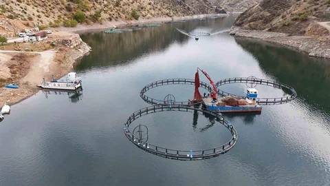 Diyarbakır'dan Mezopotamya Somonu İhracı