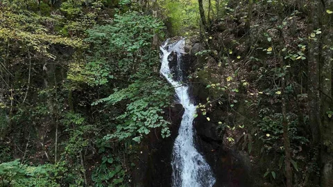 Düzce'nin Aydınpınar Cenneti