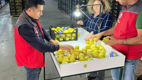 Muğla Ortaca'da İhracat Onayı