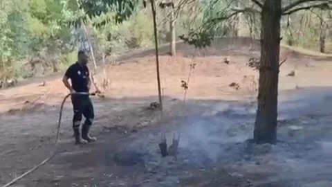 Mersin Tarsus'ta Orman Yangını