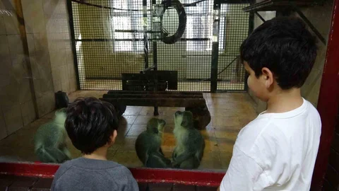 Gaziantep'te Ara Tatil Coşkusu