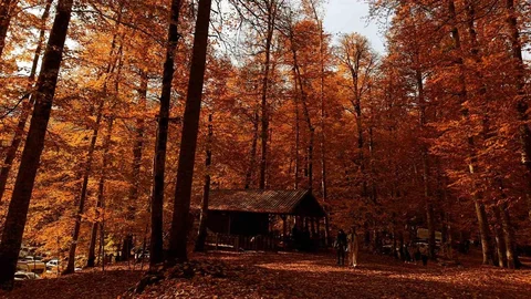 Yedigöller Milli Parkı'na Yoğun İlgi