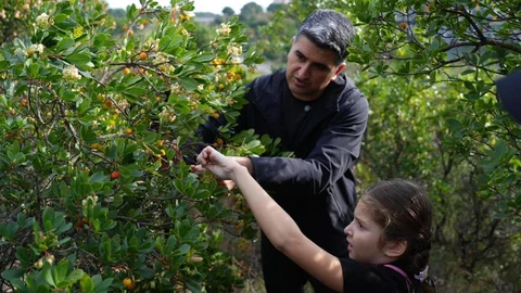 Ataşehir'de Çilek Festivali Yoğun İlgi Gördü