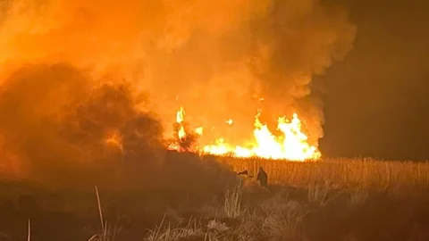 Hakkari'de Kuş Cennetinde Yangın Çıktı