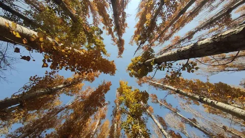 Van'da Sonbahar Güzelliği