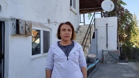 Eşek Arıları Hastanelik Etti