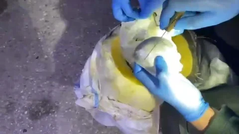 Osmaniye'de Uyuşturucu Ele Geçirildi