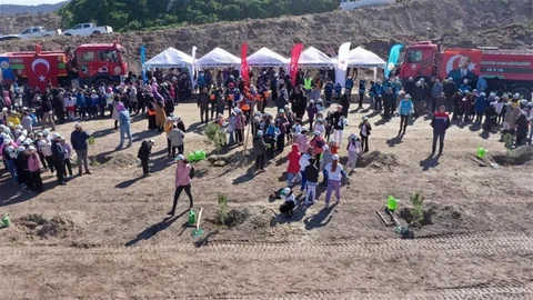 Aydın'da Fidan Dikimi Yapılacak