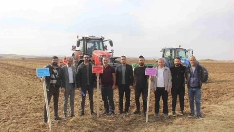 Sivas'ta Ekmeklik Buğday Denemesi