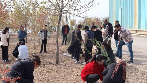 Elazığ'da Fidan Dikimi Etkinliği