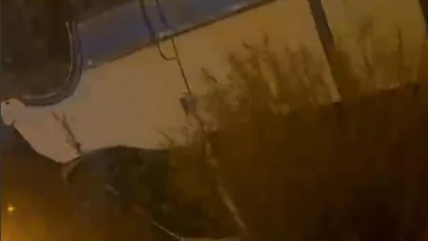 Tarsus'ta Korkunç Kaza: Minibüs Takla Atıp Dereye Uçtu, Çok Sayıda Yaralı!