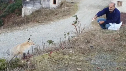 Rize'de Sıra Dışı Dostluk