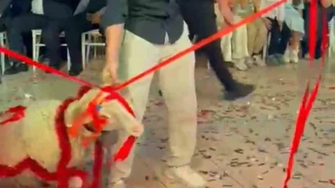 Damadın Sıra Dışı Hediyesi