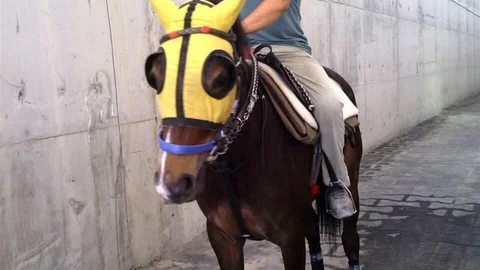 Adana'da Kaza Sonrası Ölüm