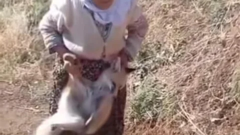 Tayyibe Nine Hayatını Kaybetti