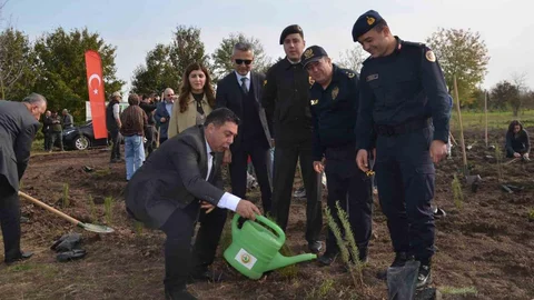 Bafra'da 8 Bin Fidan Dikildi