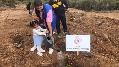 Datça'da Fidan Dikimi Yapıldı