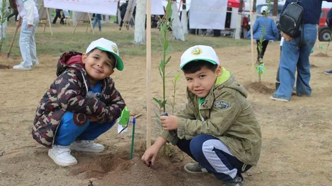 Aydın'da 7 Bin Fidan Dikildi