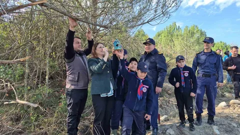 Bartın'da Fidan Dikimi Gerçekleşti
