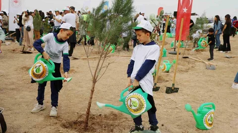 Adana'da 840 Bin Fidan Dikildi