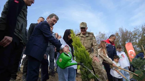 Samsun'da 37 Bin Fidan
