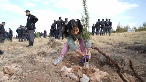 Niğde'de Fidan Dikimi Etkinliği