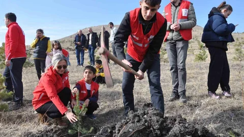 Kars'ta 5 Bin 500 Fidan Dikildi