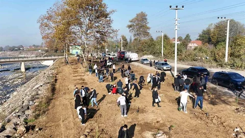 Düzce Üniversitesi'nde Ağaçlandırma Etkinliği