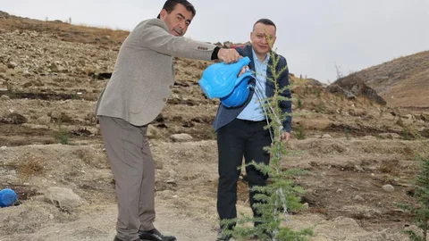 Bünyan'da Fidan Dikimi Etkinliği