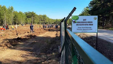 Enes Kızılyer Anısına Fidan Dikimi