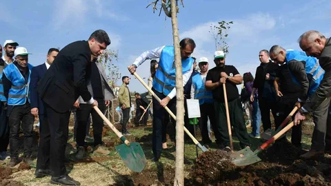 Siverek’te Fidan Dikimi Etkinliği
