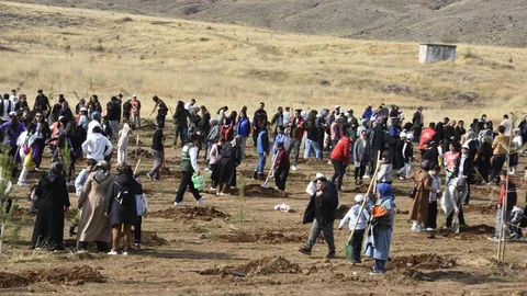 Bitlis’te Ağaçlandırma Etkinliği