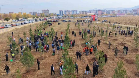 Muş'ta 20 Bin Fidan Dikimi